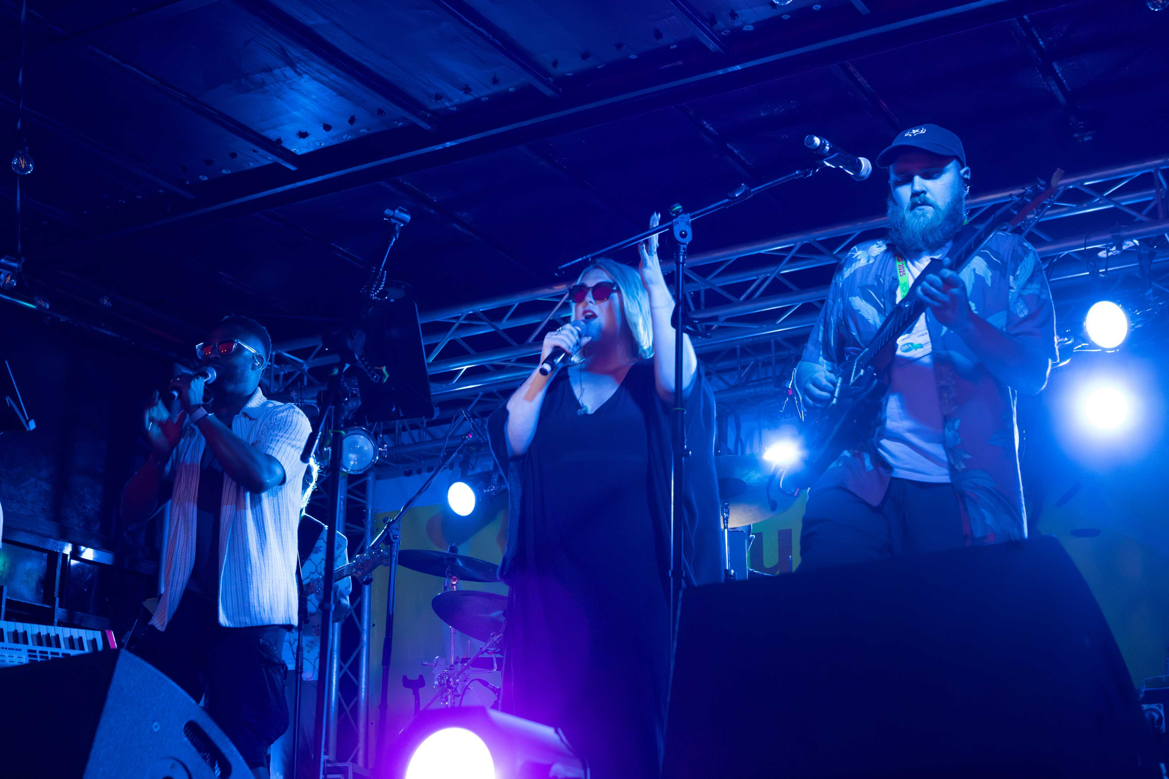 Entertainment: musicians, performers, DJs, face painters