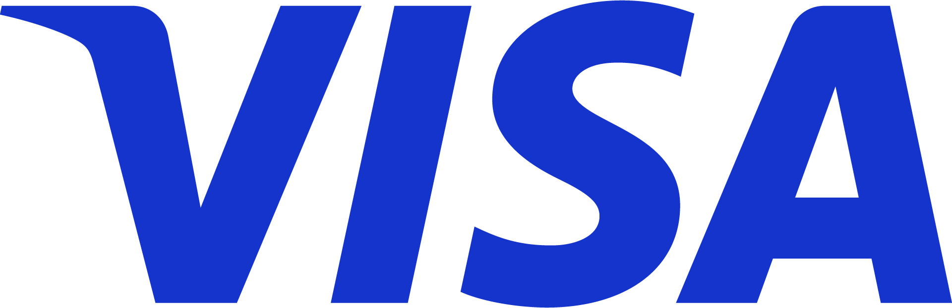 Visa payment logo