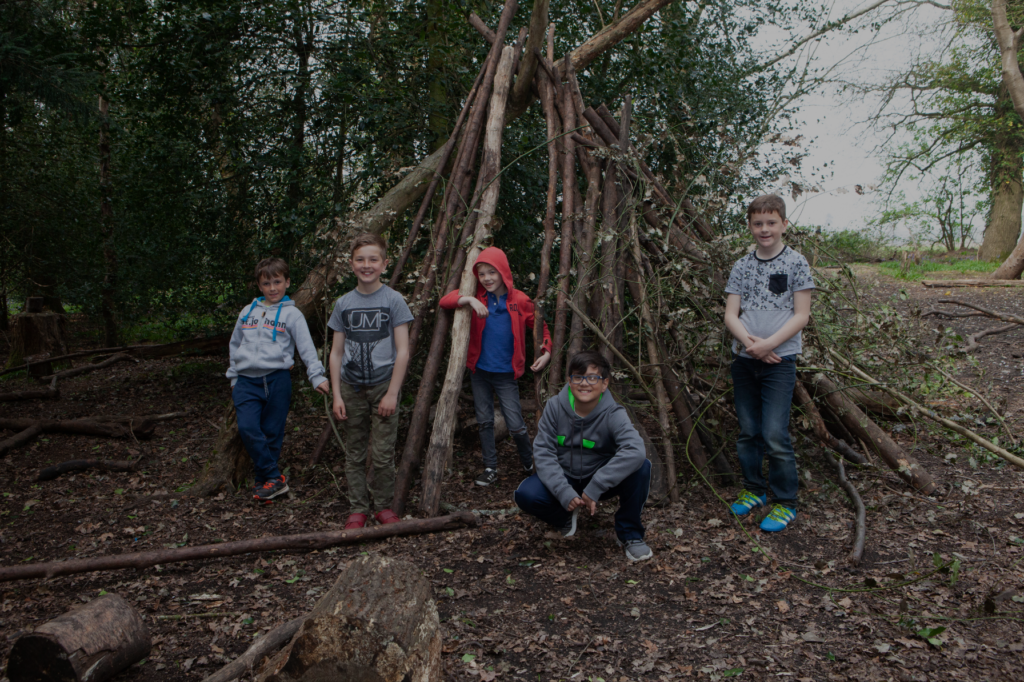 five children and the den they made out of sticks