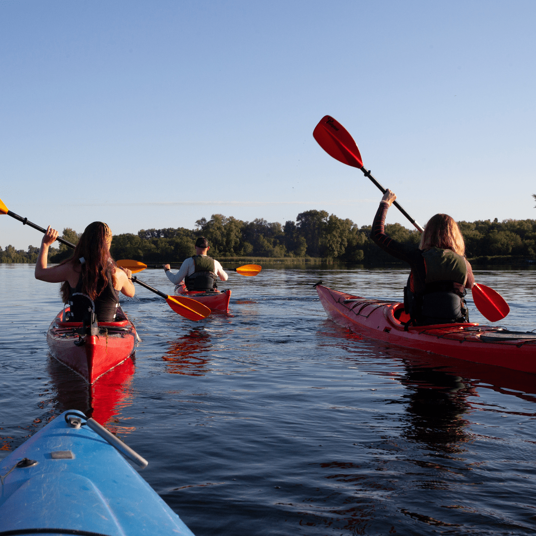 Ensuring environmental accountability